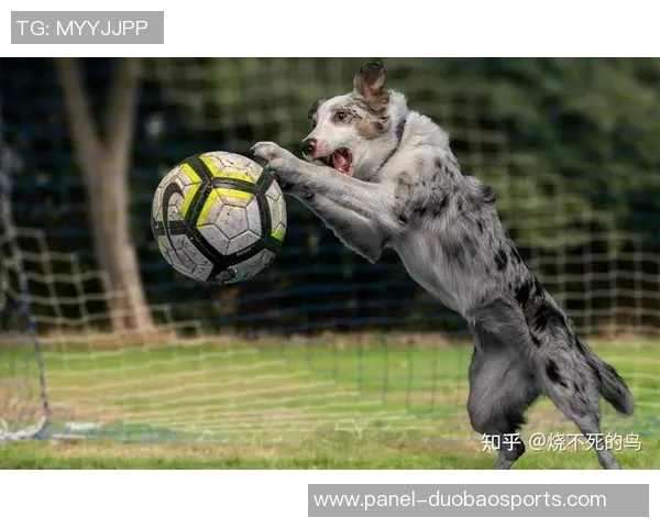 中国足球假球现象的深层次解析与反思：如何重塑足球的公平与诚信